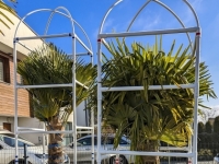 Konstrukcja na palmę z rur 32 mm wys. 2,82 m